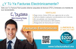 flyerdescripcion